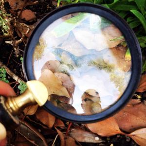 10636149_10152230847520800_1523077073848730591_n