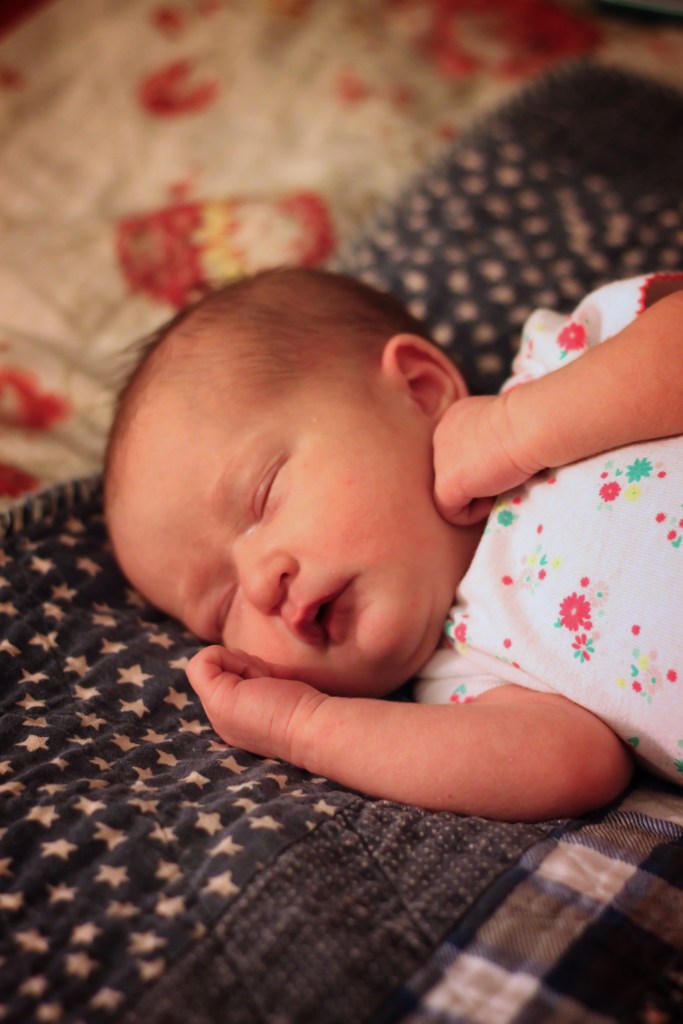 IMG_7416_filtered_e copy