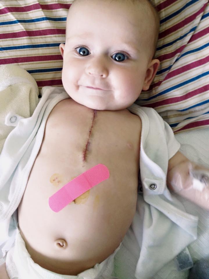 12072606_10153088953610800_5626801765950662135_n