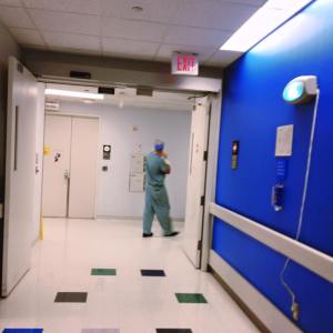 12141641_10153072719800800_2178203887220500340_n